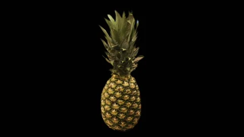 Animation of one pineapple. Rotates. tropical fruit 库存影片 148324759