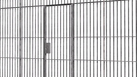 Animation of open and closed Jail bars door isolated on white background Stock-Footage 71011433
