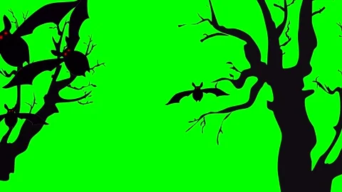 Animation or computer graphics of cartoon bats and trees for Halloween on a Stock Footage 251565417