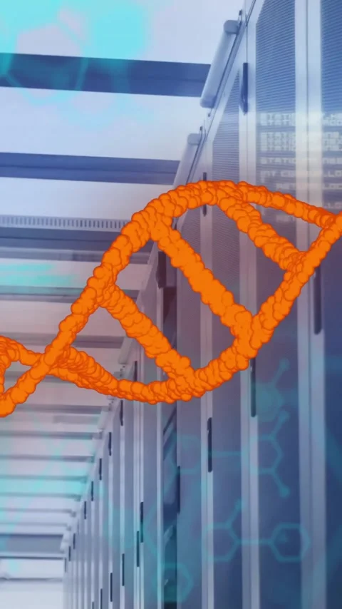 Animation of orange dna strand and data processing over computer server room Stock Footage 342805923