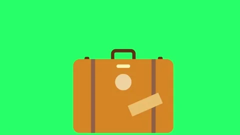 Animation orange luggaget isolate on green background. Stock Footage 232359996