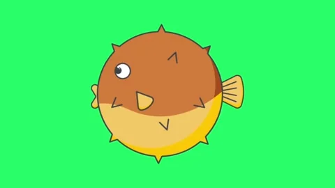 Animation orange puffer fish on green background. Stock Footage 252239728