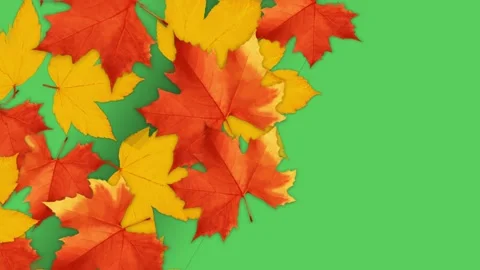 Animation Orange twigs. Stock Footage 142780640
