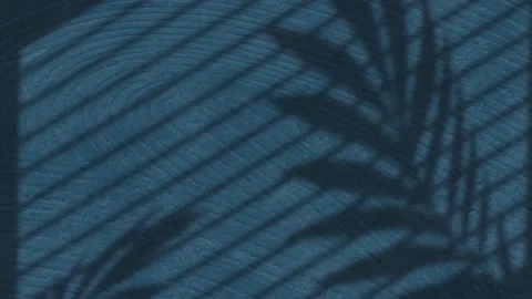 Animation of palm leaf and stripe shadows over changing blue wood grain pattern Video stock 203839555