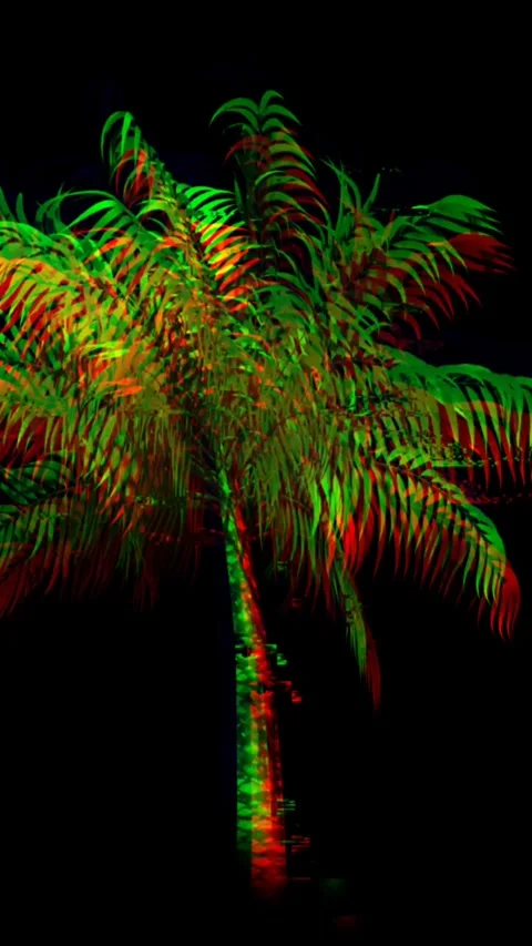 Animation of palm tree over black background Stock Footage 342009404