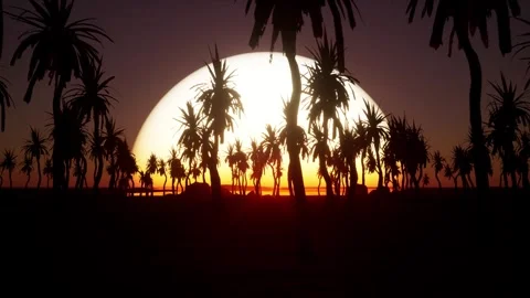 Animation of palm trees with big sun down in background. Abstract glowing si Stock Footage 246679692