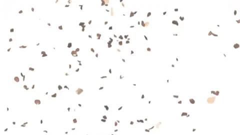 Animation of particles falling over moving school bus against white background Stock Footage 326885769