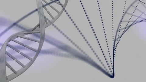 Animation of particles forming a dna str... | Stock Video | Pond5