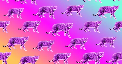 Animation pattern design. Leopard cat. Minimal animals concept Stock Footage 100678834