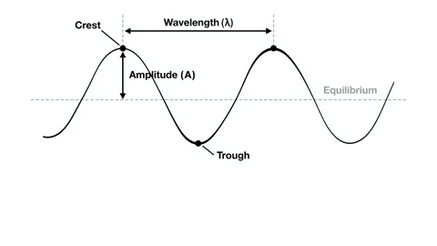 Animation of Physics infographic explaining transverse wave anatomy Stock Footage 337603454