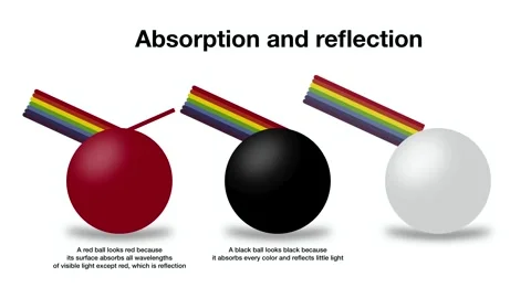 Animation of Physics infographic showing light absorption and reflection Stock Footage 334771435