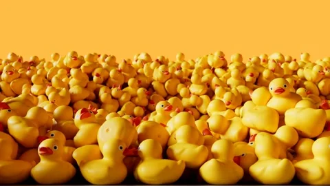 Animation of the pile of rubber ducks. A huge amount of cute yellow toys. Stacks Stock Footage 145763409