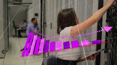 Animation of pink graph and data processing over technicians working in computer Stock Footage 327783010
