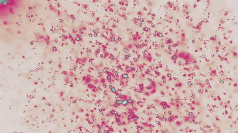 Animation of pink particles Stock Footage 159902572
