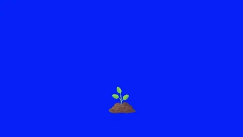 Animation of plant on chroma key background 動画素材 329393396