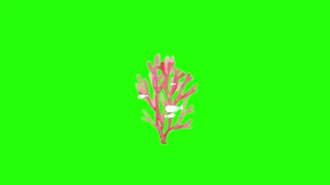 Animation of plant on chroma key background 動画素材 329393407