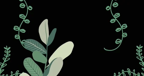 Animation of plants growing on black background Видео 162945281