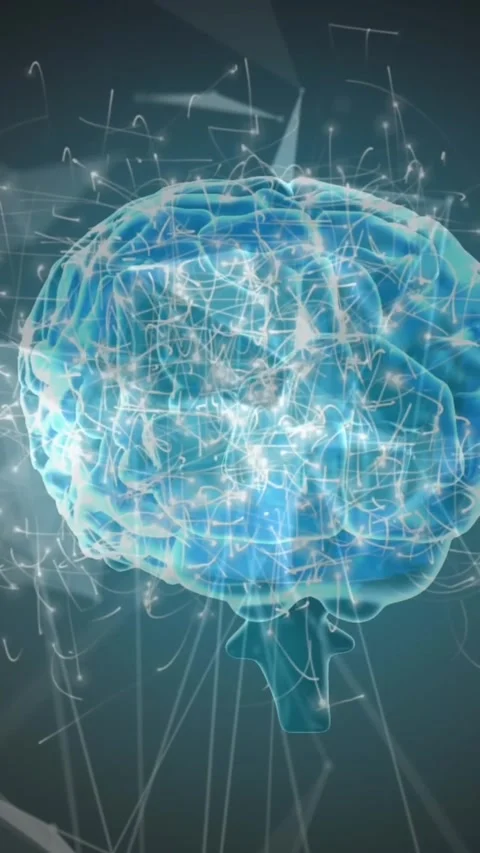 Animation of plexus networks and light trails over spinning human brain against Stock Footage 344525871