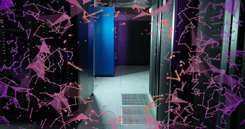 Animation of plexus networks and network of connections against computer server Stock Footage 328257299