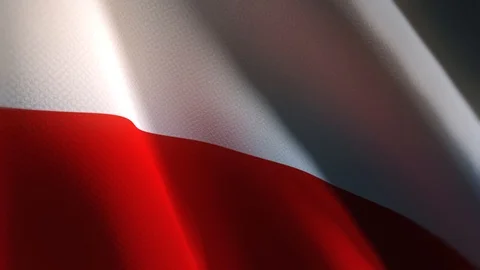 Animation of polish flag Stock Footage 97683578