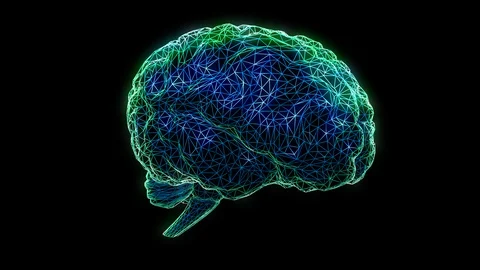 Animation of a polygonal brain rotating in loop. Stock Footage 115959808