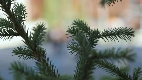 Animation programme with funny cute red hair entertainer Stock Footage 79870496