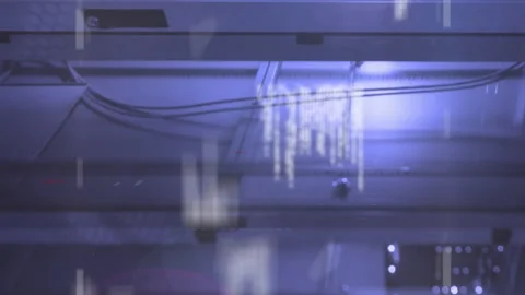 Animation of programming language, binary codes and lens flare over data server Stock Footage 312325368