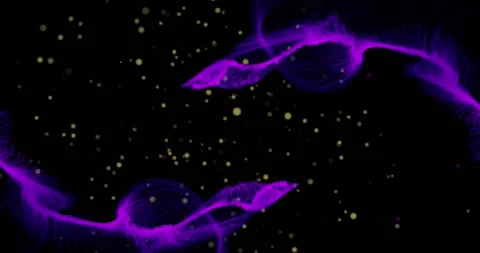 Animation of purple mesh and light spots pattern moving on black background Video stock 328015204