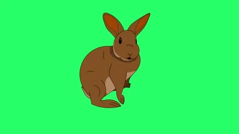Animation rabbit on green screen. Stock Footage 231502114