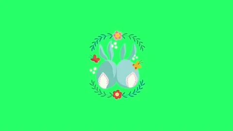 Animation rabbit isolate on green background. Stock Footage 235511128
