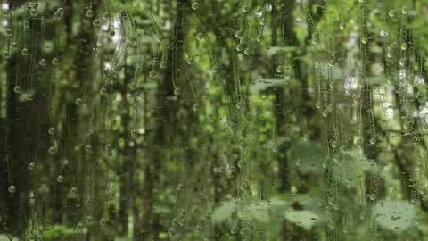 Animation, rain in the forest. Drops on glass. Realistic render. 4k video Stock Footage 169790052
