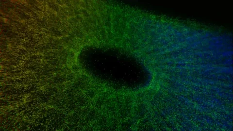 Animation. Rainbow colors geometric . Видео 113081471