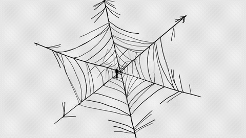 Animation of the rapid weaving of webs b... | Stock Video | Pond5
