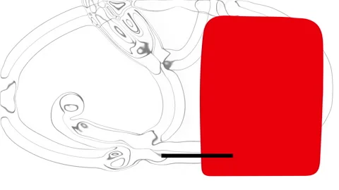 Animation of a red  and black rectangle  in  minimal art motion style on liqu Stock Footage 140044579