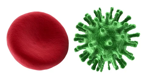Animation of Red Blood Cell and Virus Rotation Stock Footage 33459903