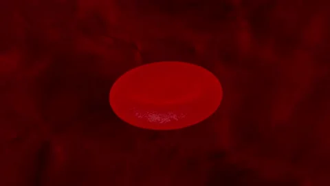 Animation of a red blood cell on a red b... | Stock Video | Pond5