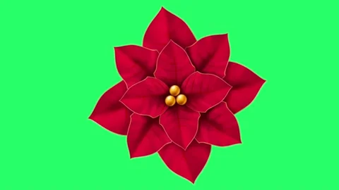Animation red decorated wreath isolate. Stock Footage 227844268