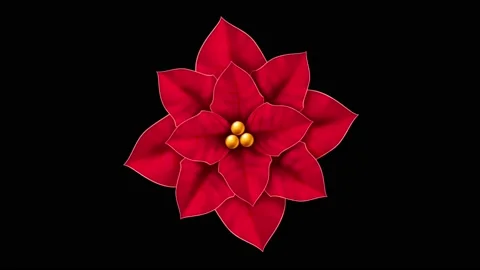 Animation red decorated wreath isolate. Stock Footage 227861924
