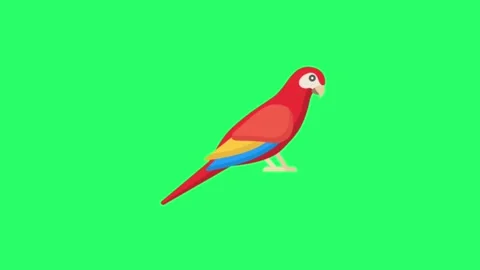 Animation red parrot on green background. 動画素材 260531967