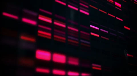 Animation of red squares moving fast Stock Footage 60383825