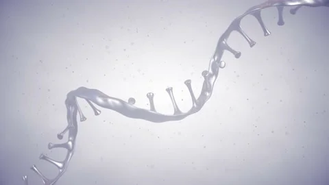 Animation of RNA molecule Video stock 171344838