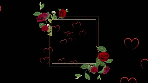 Animation of roses, hearts and rectangle... | Stock Video | Pond5