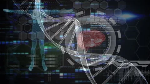 Animation of rotating 3d dna strand, wit... | Stock Video | Pond5