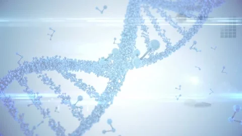Animation of rotating 3d dna strand, wit... | Stock Video | Pond5