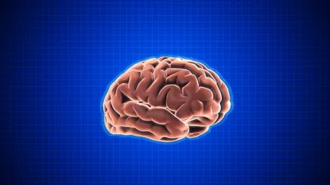 Animation of rotating brain with Grid on dark blue background Illustrazione stock