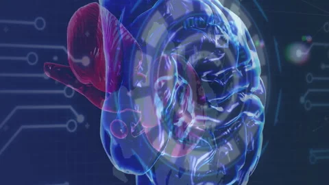 Animation of rotating brain over icons integrated circuit and world map Stock Footage 313087714