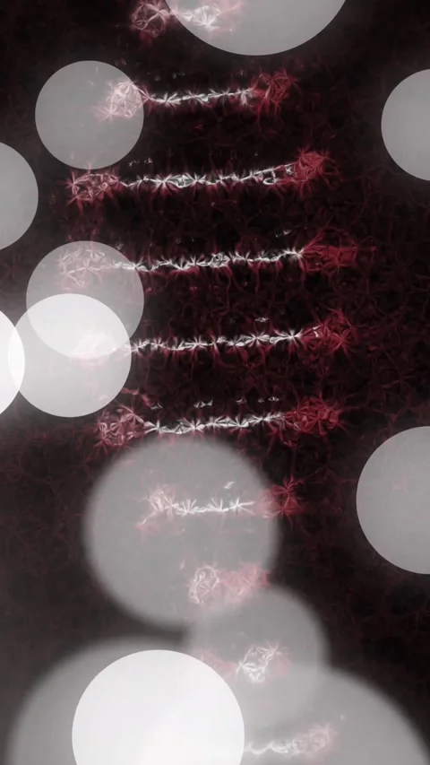 Animation of rotating dna helix over lens flares against black background Stock Footage 344765898