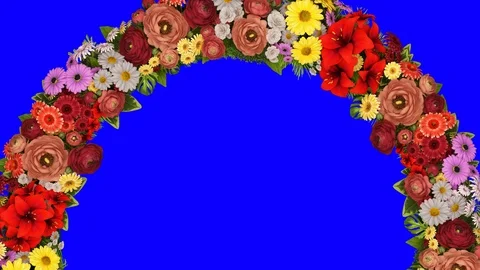 Animation of a rotating ring of flowers on a blue background. Chroma key. Loop Stock Footage 104812128