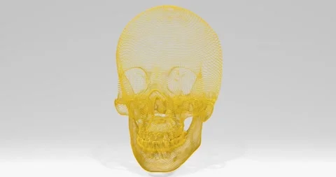 Animation of the rotation of the human skull grid Stock Footage 207781367