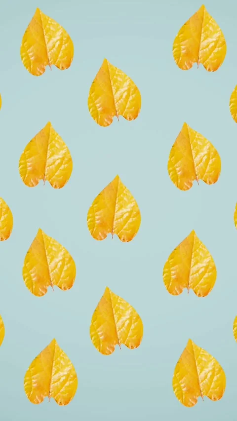 Animation of rows of autumn yellow leaves on blue background Stock Footage 344244344